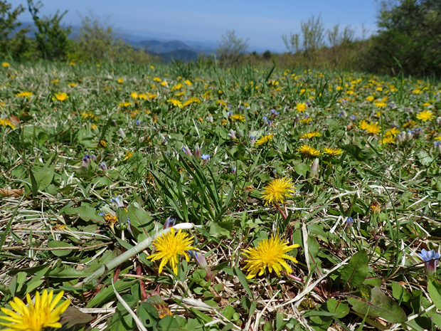 f0214649_555013.jpg