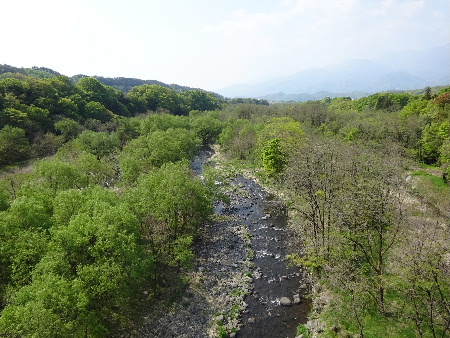 e0172950_1636938.jpg