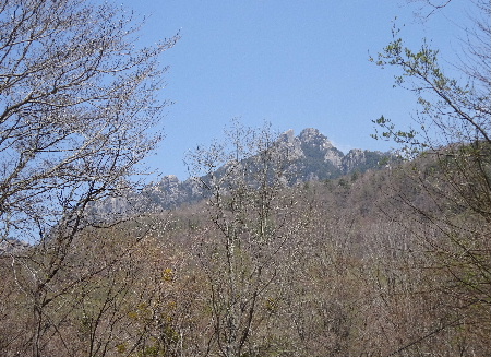 e0172950_16373798.jpg