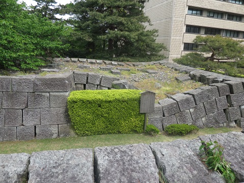 f0202151_22391568.jpg