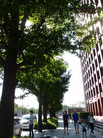 c0354352_22040325.jpg