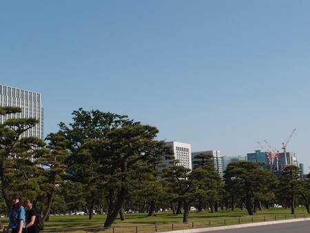 c0354352_22043420.jpg