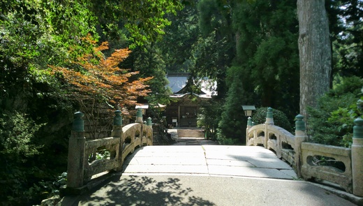c0133458_20201355.jpg