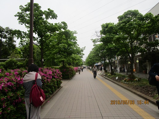 a0055866_1051171.jpg