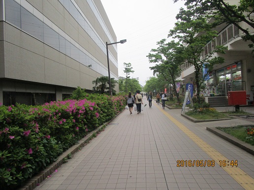 a0055866_10514298.jpg