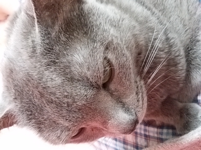 f0200871_054431.jpg