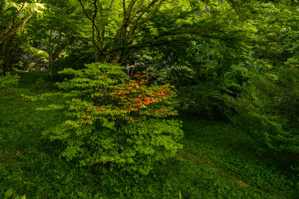 a0301676_13340990.jpg