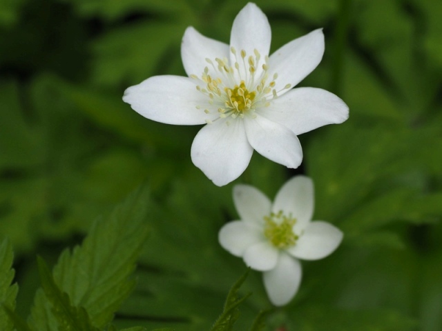 c0183777_1218227.jpg