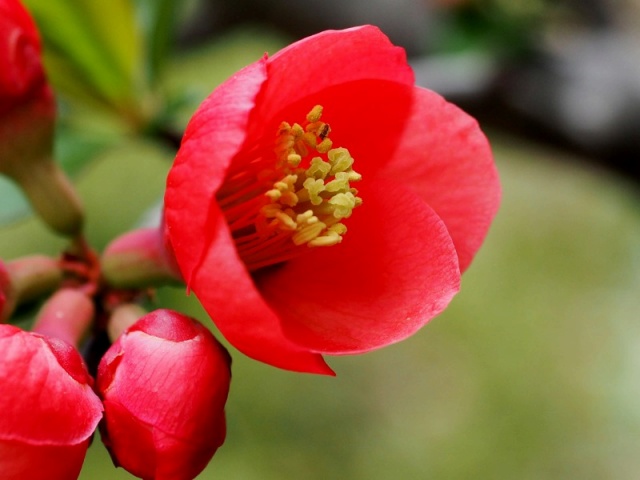 c0183777_12223994.jpg