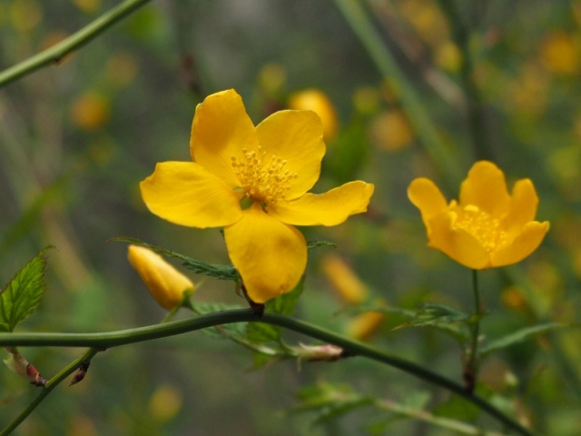 c0183777_1224663.jpg
