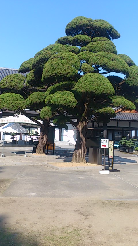 e0202385_14492463.jpg