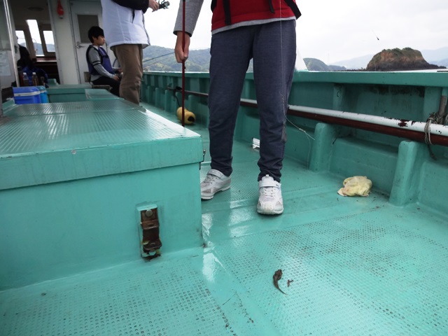 e0264287_948207.jpg