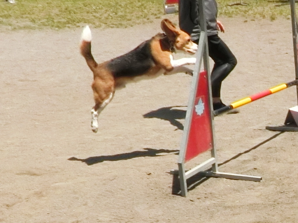 a0319693_8211311.jpg