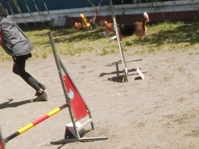 a0319693_8255389.jpg