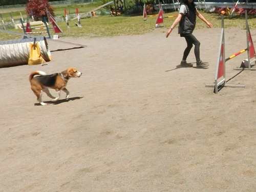a0319693_8325667.jpg