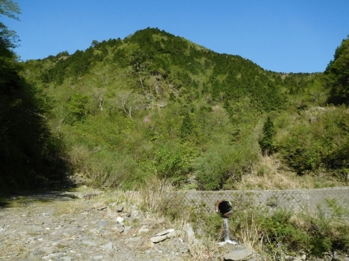 a0143296_05335156.jpg