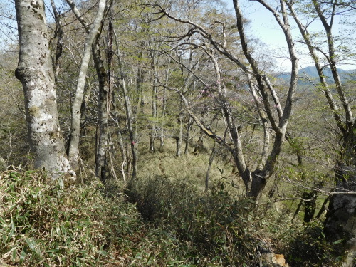 a0143296_05510539.jpg