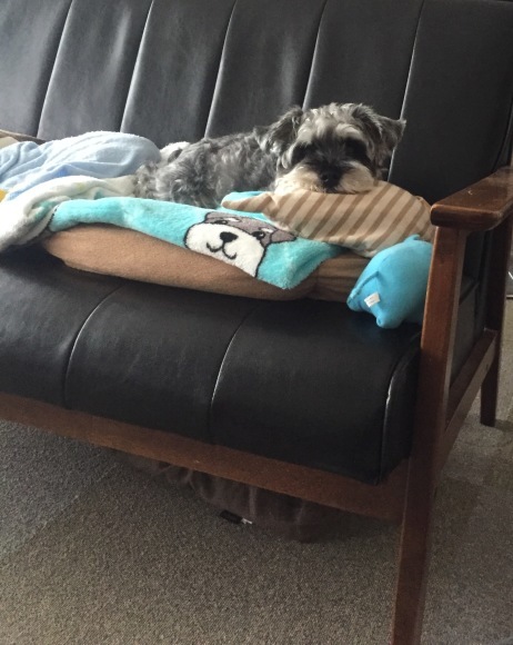 b0188998_19315837.jpeg