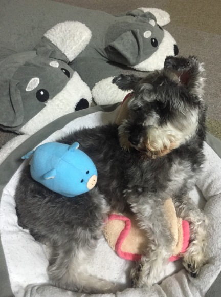 b0188998_19323525.jpeg