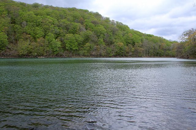 e0137200_19292055.jpg