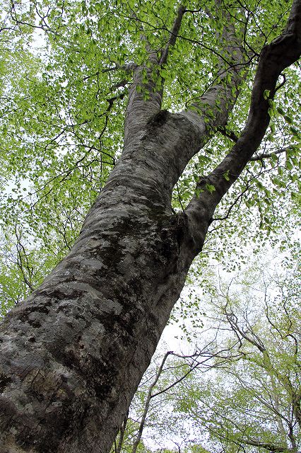 e0137200_19293578.jpg
