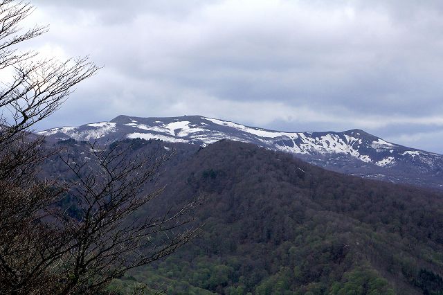 e0137200_19341857.jpg