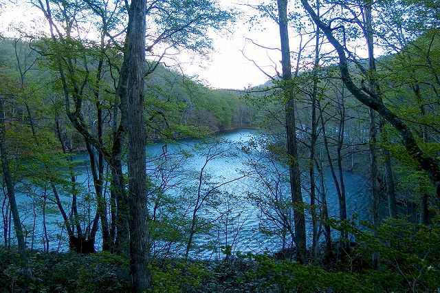 e0137200_19381525.jpg