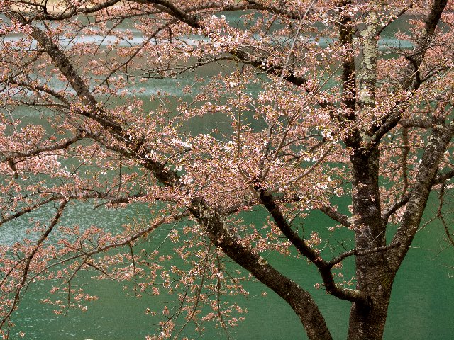 c0008502_19501365.jpg