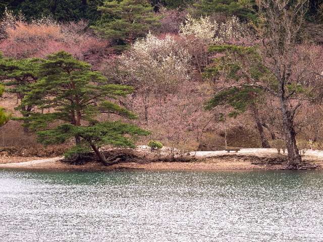 c0008502_19502311.jpg
