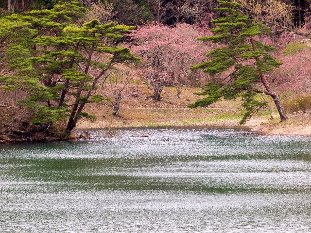 c0008502_19554754.jpg
