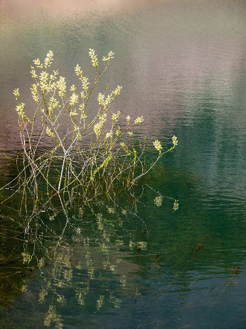 c0008502_20583670.jpg