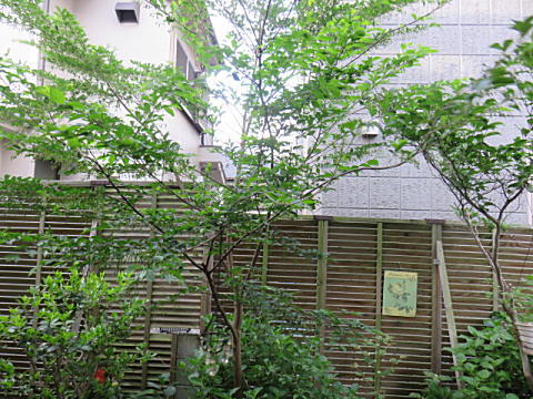 d0046702_6233626.jpg