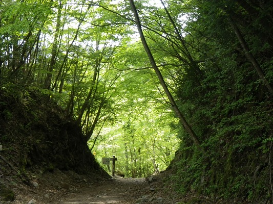 f0187402_20495172.jpg