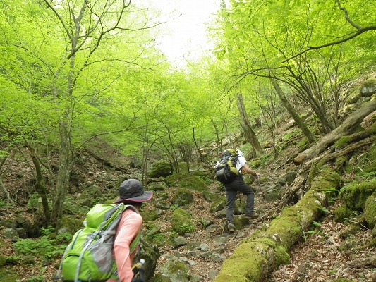 f0187402_2050456.jpg