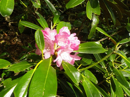 f0187402_20505053.jpg