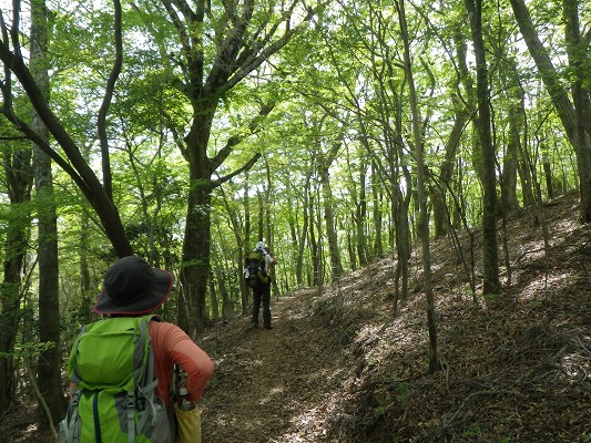 f0187402_2051426.jpg