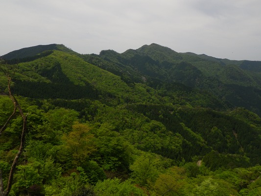 f0187402_20515376.jpg