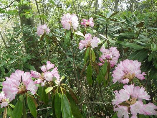 f0187402_205168.jpg