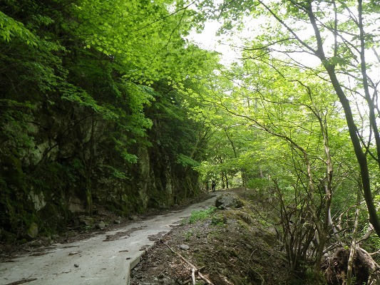 f0187402_205221100.jpg
