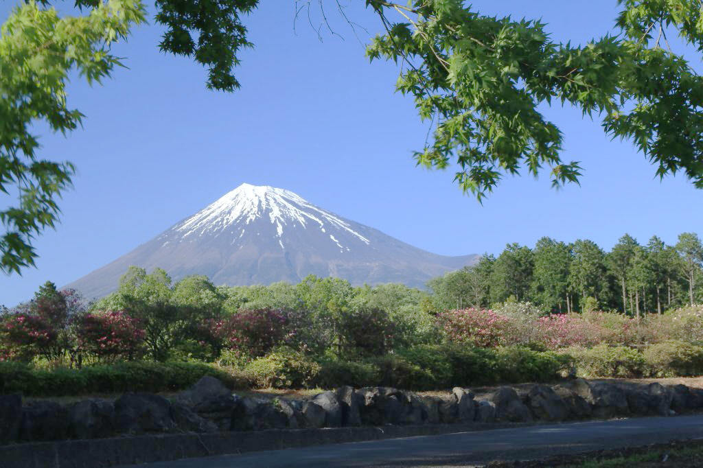 a0188405_21123125.jpg