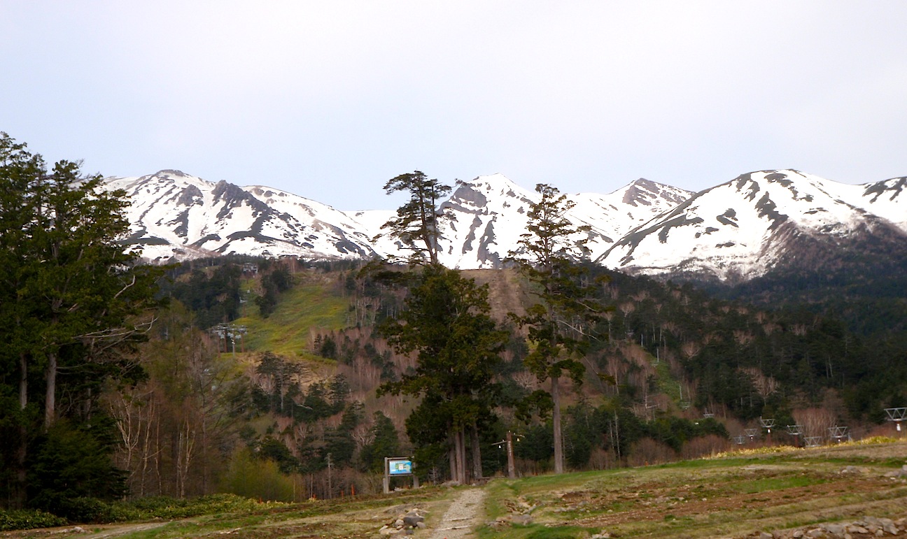 c0078410_423843.jpg