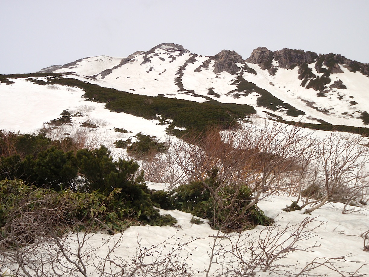 c0078410_427245.jpg