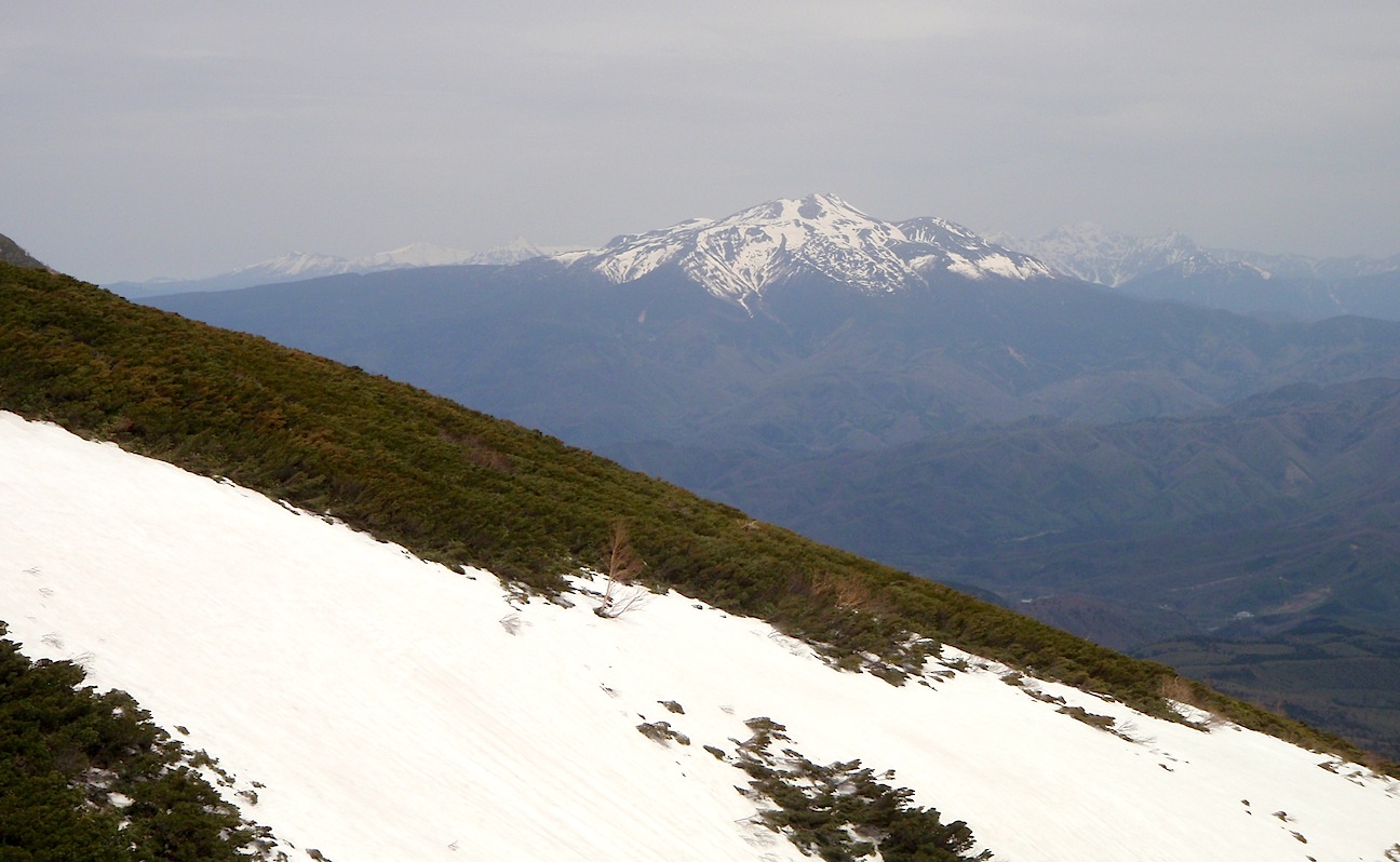 c0078410_4422315.jpg