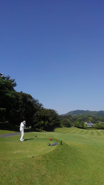 f0085810_160547.png