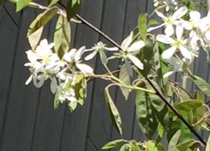 c0048023_10152210.jpg