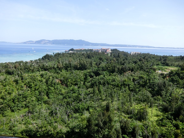 c0142326_16261021.jpg