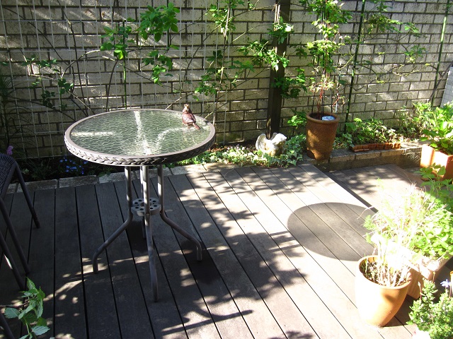 f0002833_22205388.jpg