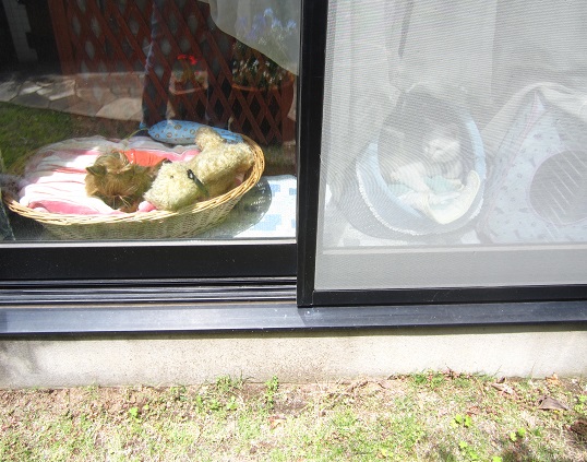 f0002833_2234521.jpg