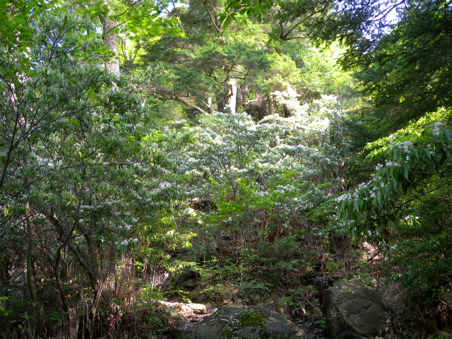 e0272335_2125867.jpg