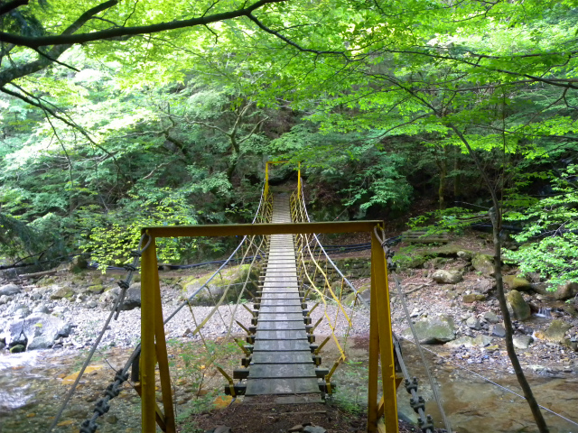 e0272335_212763.jpg